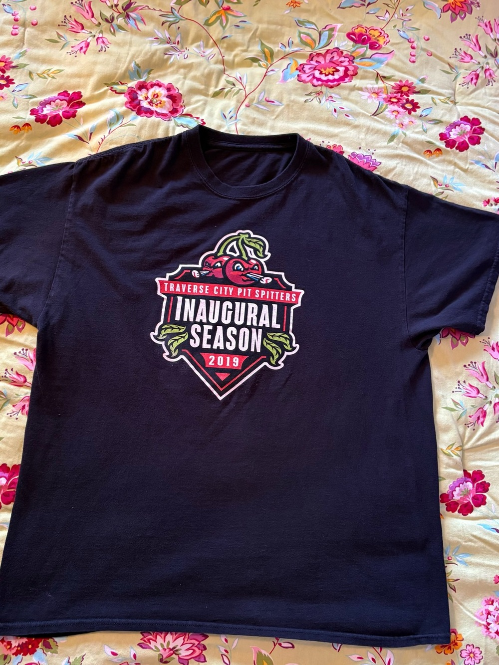 Traverse City Pit Spitters MILB 2019 inaugural season black tee XL 28x23 GUC